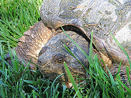 main image main image